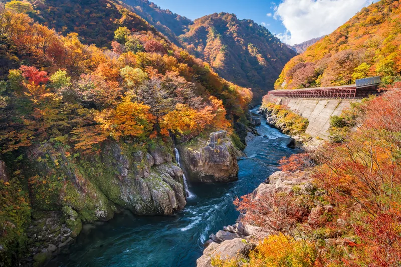 あらかわ治水砂防巡り（www.hrr.mlit.go.jp の告知画像）