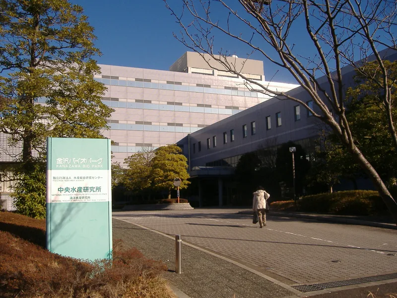 水産研究・教育機構 横浜庁舎（ウィキメディア・コモンズ）