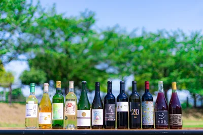 飛鳥ワイン 大人の遠足 飛鳥ワイナリーツアー（羽曳野市）（asukawine.co.jp の掲載画像）