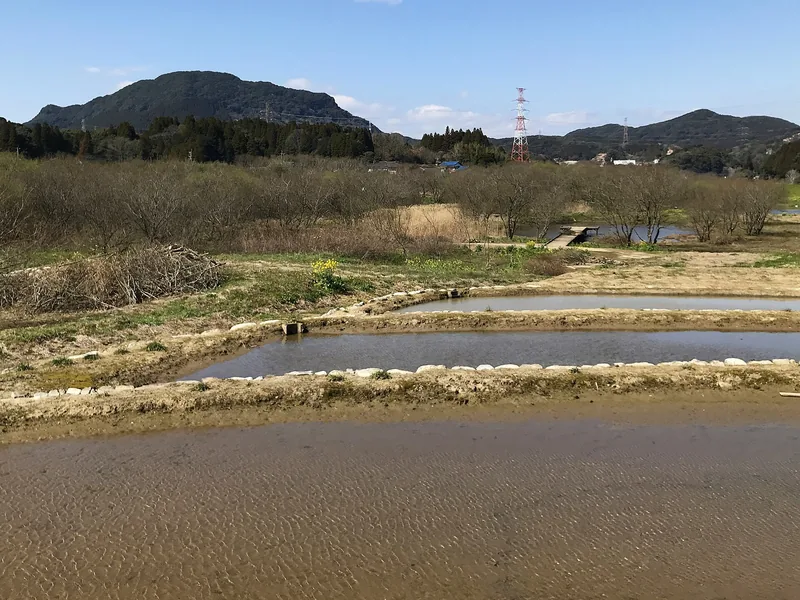 アザメの瀬と棚田（ウィキメディア・コモンズ）