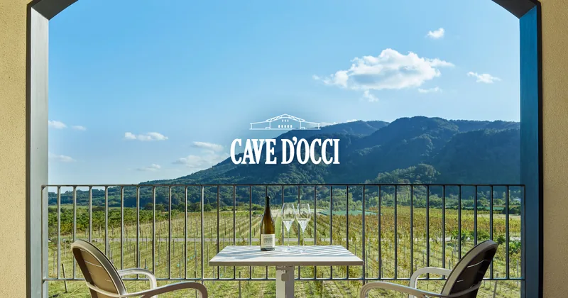 カーブドッチ ワイナリーツアー（新潟市）（www.docci.com の告知画像）