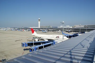 中部国際空港セントレア（ウィキメディア・コモンズ）