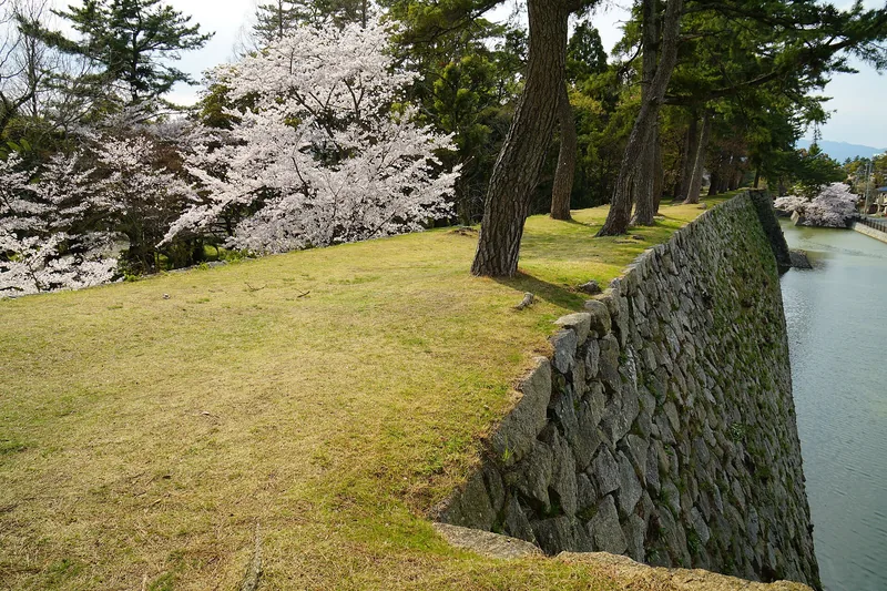 イメージ：近くの津城跡（ウィキメディア・コモンズ）