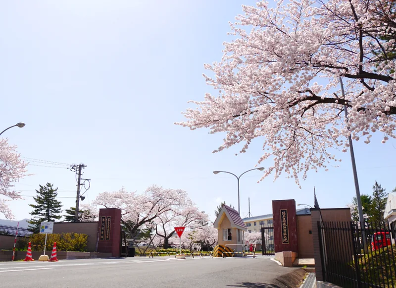 桜の咲く弘前駐屯地の正門(ウィキメディア・コモンズ)