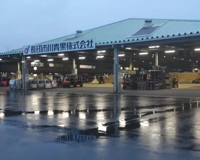 イメージ：青果の卸売市場（市川地方卸売市場）（ウィキメディア・コモンズ）