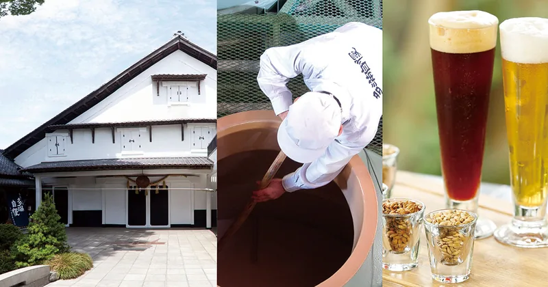 石川酒造（多満自慢）酒蔵散策・見学（福生）（www.tamajiman.co.jp の告知画像）