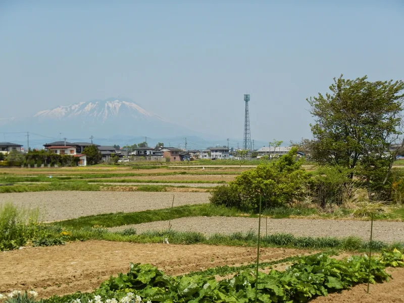 イメージ：近くの田園と岩手山（ウィキメディア・コモンズ）