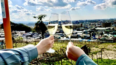 カタシモワイナリー（kashiwara-wine.com の掲載画像）