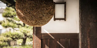 菊正宗酒造記念館（www.kikumasamune.co.jp の掲載画像）