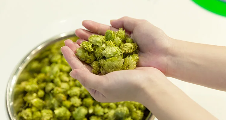 キリンビール 取手工場（www.kirin.co.jp の掲載画像）