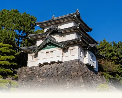 皇居 一般参観（sankan.kunaicho.go.jp の掲載画像）