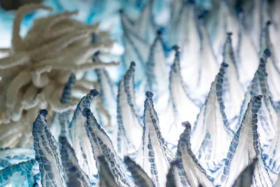 京都絞り工芸館（www.shibori.jp の掲載画像）