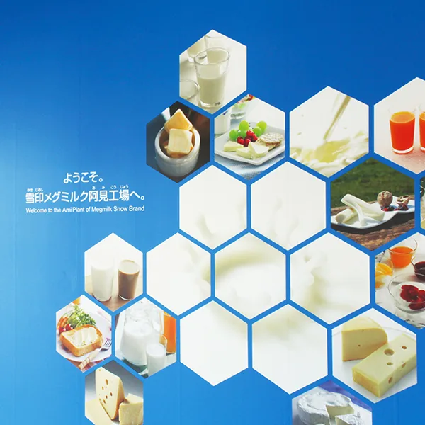 雪印メグミルク株式会社 野田工場（www.meg-snow.com の掲載画像）