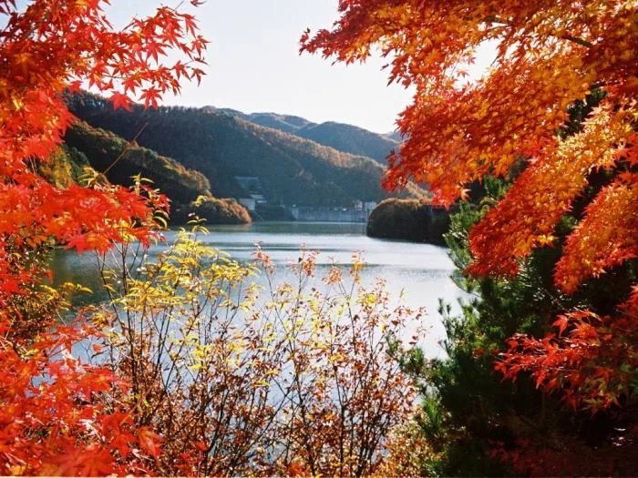 箕輪ダム（www.pref.nagano.lg.jp の告知画像）