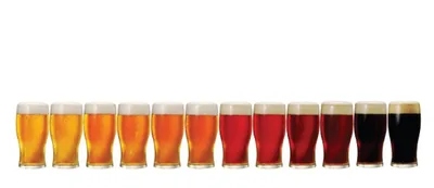 ナギサビール 工場見学（白浜町）（www.nagisa.co.jp の掲載画像）