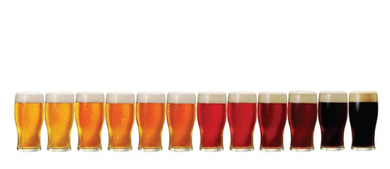 ナギサビール 工場見学（白浜町）（www.nagisa.co.jp の掲載画像）