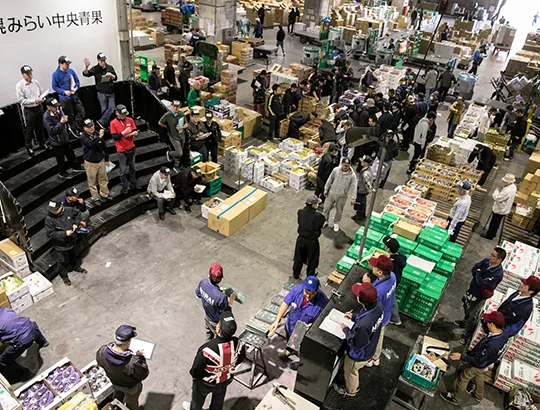 札幌市中央卸売市場（施設見学）（www.sapporo-market.gr.jp の掲載画像）