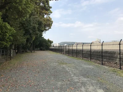 イメージ：近くを流れる白川（ウィキメディア・コモンズ）
