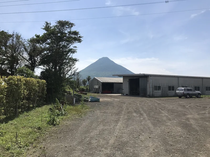 イメージ：蔵のある指宿市山川大山から見た開聞岳（ウィキメディア・コモンズ）