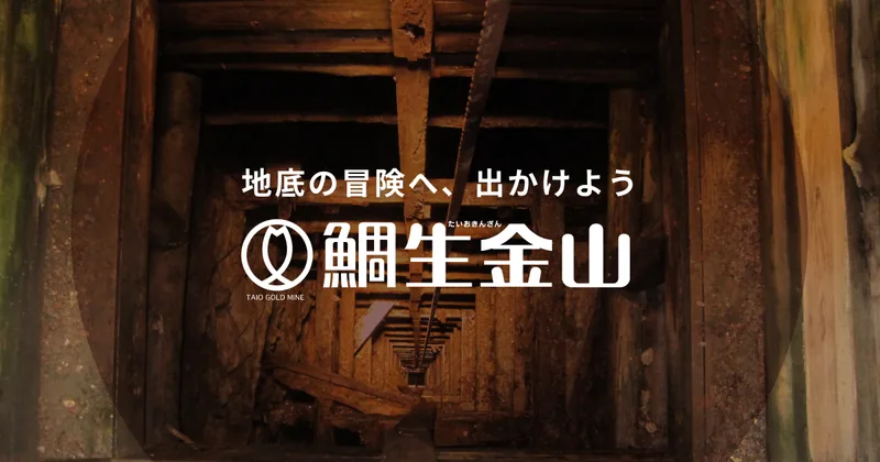 鯛生金山 地底博物館（日田市）（taiokinzan.jp の掲載画像）