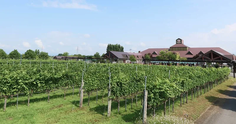 高畠ワイナリー（高畠町）（www.takahata-winery.jp の掲載画像）