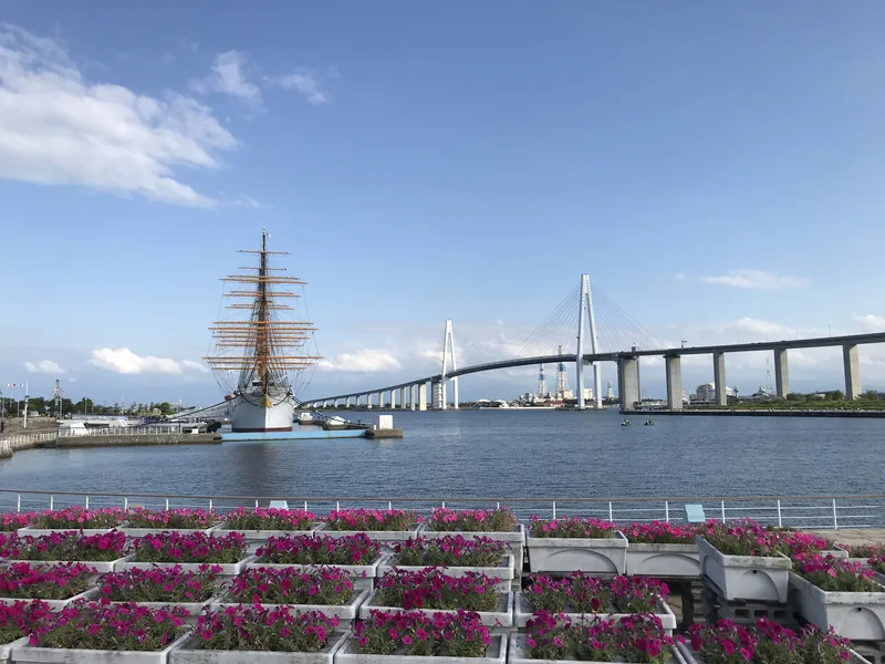 新湊大橋（ウィキメディア・コモンズ）