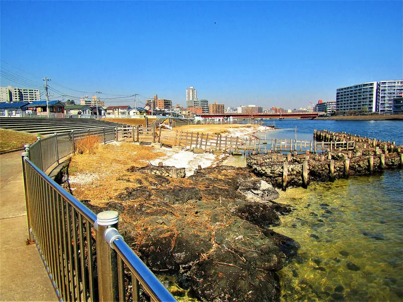 イメージ:鶴見川の河岸(ウィキメディア・コモンズ)