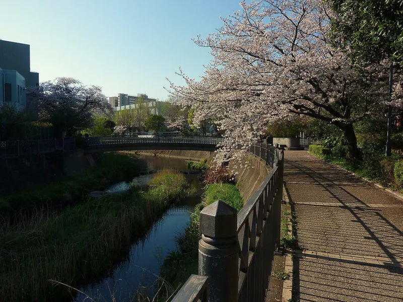 イメージ：再生水を放流するいたち川（いたち川プロムナード）（ウィキメディア・コモンズ）